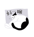 around 猫（個別スタンプ：22）