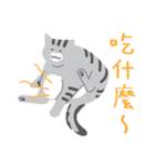around 猫（個別スタンプ：23）