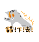 around 猫（個別スタンプ：25）