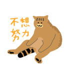 around 猫（個別スタンプ：26）