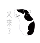 around 猫（個別スタンプ：29）