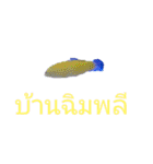 タイ国鉄南本線熱帯魚写真海月水族館⑤（個別スタンプ：2）