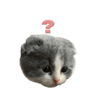 猫田ぷく（個別スタンプ：9）
