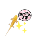 海三郎(うみざぶろう)（個別スタンプ：7）