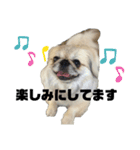 5ペキLIFE（個別スタンプ：8）