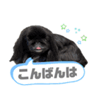 5ペキLIFE（個別スタンプ：11）