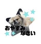 5ペキLIFE（個別スタンプ：12）