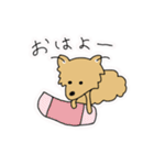 ポメチワ〜みんなのアイドル犬〜（個別スタンプ：1）
