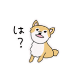 ポメチワ〜みんなのアイドル犬〜（個別スタンプ：4）