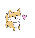 ポメチワ〜みんなのアイドル犬〜（個別スタンプ：5）