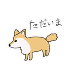 ポメチワ〜みんなのアイドル犬〜（個別スタンプ：10）