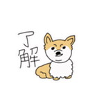 ポメチワ〜みんなのアイドル犬〜（個別スタンプ：11）