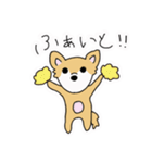 ポメチワ〜みんなのアイドル犬〜（個別スタンプ：12）