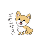 ポメチワ〜みんなのアイドル犬〜（個別スタンプ：13）