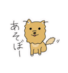 ポメチワ〜みんなのアイドル犬〜（個別スタンプ：14）