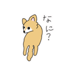 ポメチワ〜みんなのアイドル犬〜（個別スタンプ：15）