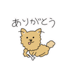 ポメチワ〜みんなのアイドル犬〜（個別スタンプ：17）