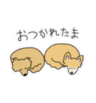 ポメチワ〜みんなのアイドル犬〜（個別スタンプ：19）
