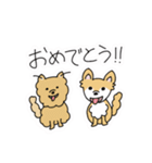 ポメチワ〜みんなのアイドル犬〜（個別スタンプ：20）