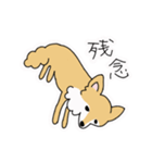ポメチワ〜みんなのアイドル犬〜（個別スタンプ：21）
