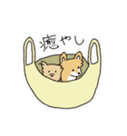 ポメチワ〜みんなのアイドル犬〜（個別スタンプ：22）