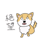 ポメチワ〜みんなのアイドル犬〜（個別スタンプ：26）
