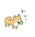 ポメチワ〜みんなのアイドル犬〜（個別スタンプ：28）