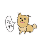 ポメチワ〜みんなのアイドル犬〜（個別スタンプ：30）