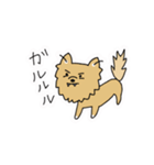 ポメチワ〜みんなのアイドル犬〜（個別スタンプ：32）