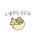 ポメチワ〜みんなのアイドル犬〜（個別スタンプ：33）