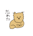 ポメチワ〜みんなのアイドル犬〜（個別スタンプ：36）