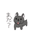 ポメチワ〜みんなのアイドル犬〜（個別スタンプ：38）