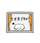 白ペキニーズちゃん ①（個別スタンプ：17）