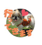 ペキ5LIFE（個別スタンプ：1）