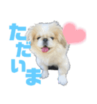 ペキ5LIFE（個別スタンプ：2）