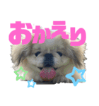 ペキ5LIFE（個別スタンプ：3）