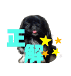 ペキ5LIFE（個別スタンプ：7）