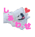 ペキ5LIFE（個別スタンプ：8）
