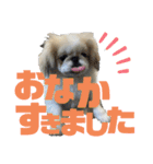ペキ5LIFE（個別スタンプ：14）