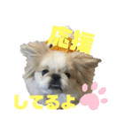 ペキ5LIFE（個別スタンプ：15）