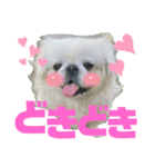 ペキ5LIFE（個別スタンプ：23）