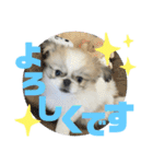 ペキ5LIFE（個別スタンプ：25）