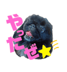 ペキ5LIFE（個別スタンプ：27）