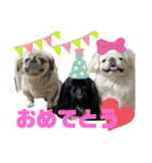 ペキ5LIFE（個別スタンプ：33）