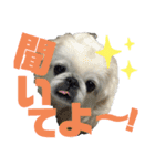 ペキ5LIFE（個別スタンプ：35）