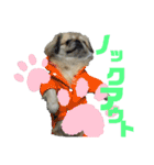 ペキ5LIFE（個別スタンプ：36）