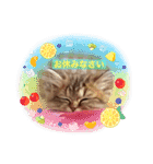 おてんば娘チャチャチャ（個別スタンプ：4）