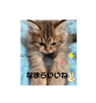 おてんば娘チャチャチャ（個別スタンプ：12）