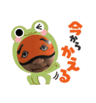 にわか家族達（個別スタンプ：39）
