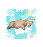 指原結/SashiharaYui（個別スタンプ：2）